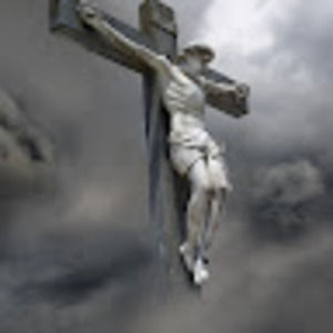 Meet your Posher, Nathan